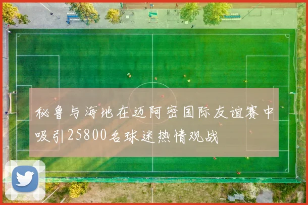 秘鲁与海地在迈阿密国际友谊赛中吸引25800名球迷热情观战